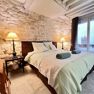  Appartement Cosy En Plein Marais France